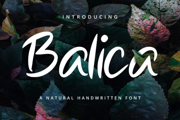 Beautiful Script Font for Creative Projects