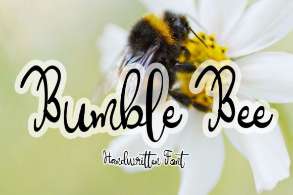 Bumble Bee Font: Elegant Script for Editorial Design