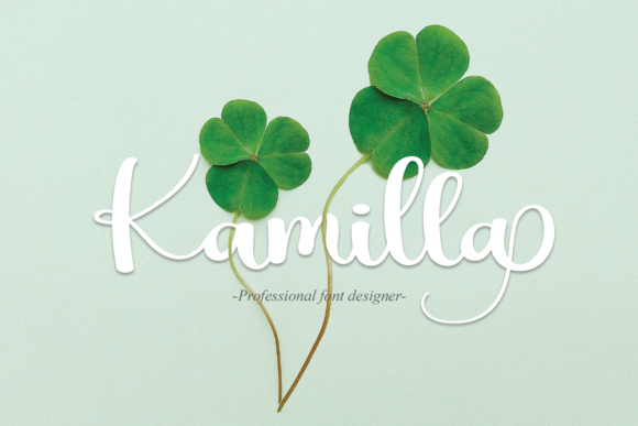Kamilla: A Stylish Font for Web Design