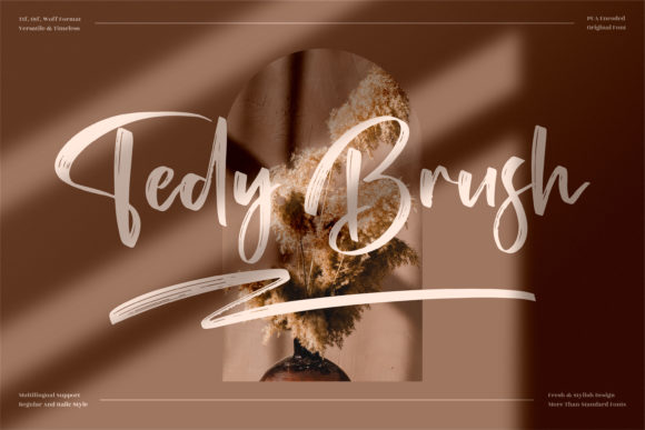 Tedy Brush: A Script Font for Elegant Campaigns