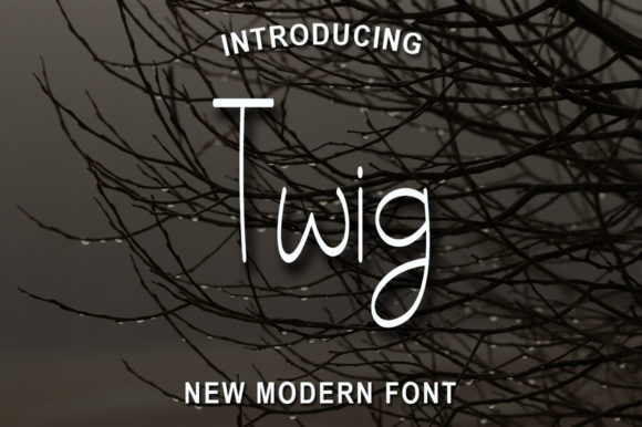 Twig: A Font That Brings Business to Life